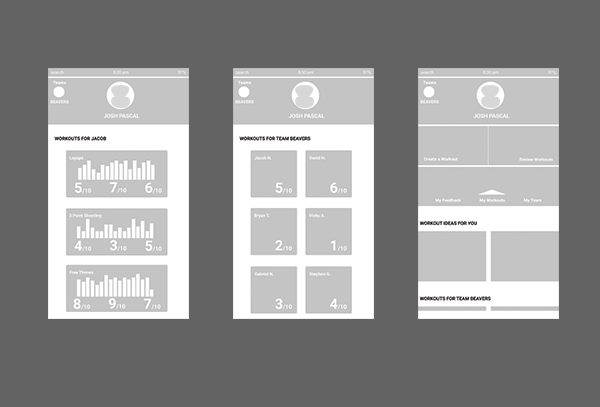 coachWireframes